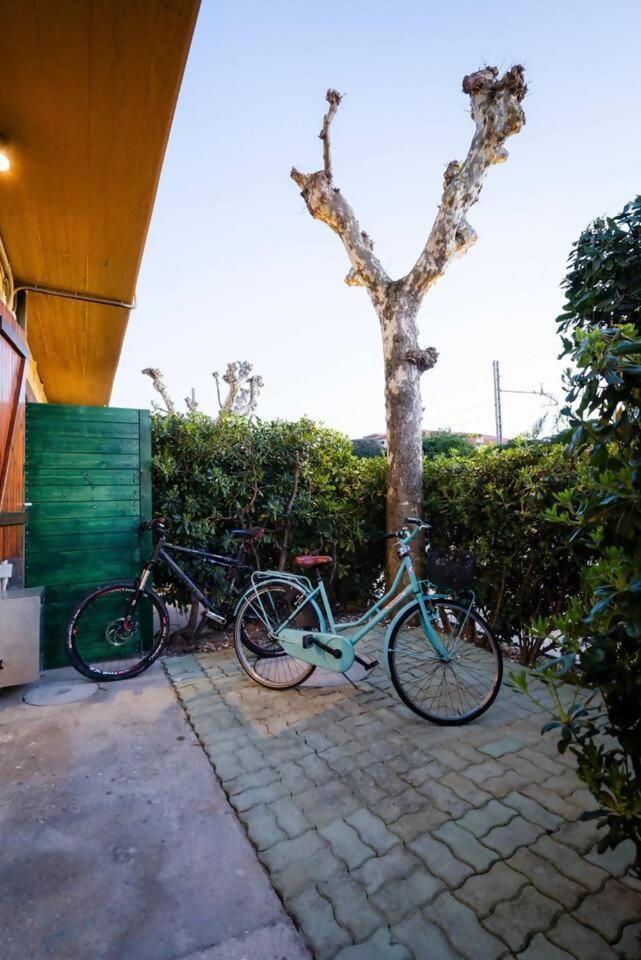 Casamare Una Casa Sulla Spiaggia Nelle Marche Villa Porto Potenza Picena Eksteriør billede